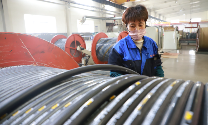 裕亨橡塑科技公司的經(jīng)理蘇志坤表示，公司不僅突破了一批核心關(guān)鍵技術(shù)，還擁有多項(xiàng)發(fā)明，產(chǎn)品已成功打入國(guó)外市場(chǎng)。其生產(chǎn)的超長(zhǎng)纏繞膠管在單根長(zhǎng)度上超過(guò)普通膠管的兩倍，并且在脈沖性能、耐老化性能、爆破壓力等參數(shù)上達(dá)到了國(guó)際先進(jìn)水平，廣泛應(yīng)用于石油、礦山、工程機(jī)械等領(lǐng)域。