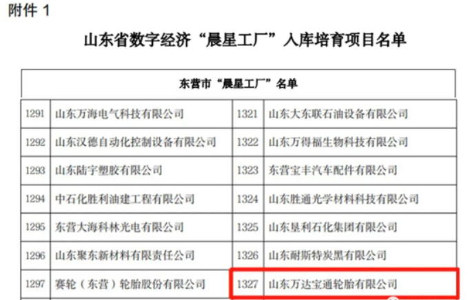山東省工業(yè)和信息化廳近日發(fā)布了《關(guān)于開展數(shù)字經(jīng)濟“晨星工廠”入庫培育工作的通知》。山東萬達寶通輪胎有限公司憑借其先進的生產(chǎn)制造技術(shù)和產(chǎn)業(yè)智能化系統(tǒng)的優(yōu)勢，成功入選該計劃。這也是該公司為推動數(shù)字經(jīng)濟發(fā)展，加快傳統(tǒng)制造業(yè)數(shù)字化、智能化轉(zhuǎn)型升級工作所獲得的又一榮譽。
