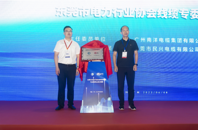 東莞市電力行業(yè)協(xié)會(huì)成立線纜專(zhuān)委會(huì)，推動(dòng)電力行業(yè)創(chuàng)新發(fā)展