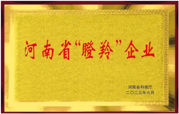 恒力橡塑股份有限公司的入選不僅證明了該公司在橡膠助劑領(lǐng)域的突出成就，同時也彰顯了河南省在科技創(chuàng)新和高新技術(shù)企業(yè)培育方面的努力。