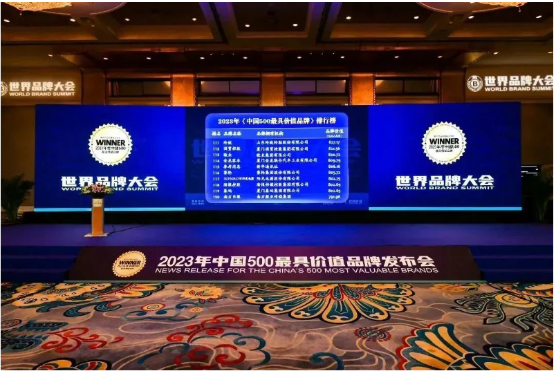 賽輪集團(tuán)憑借其深厚的品牌積淀和強(qiáng)大的品牌成長力，逐步躋身世界級輪胎品牌的行列。未來，賽輪集團(tuán)表示將繼續(xù)堅持創(chuàng)新研發(fā)，以"中國匠心"打造"世界品質(zhì)"，不斷豐富品牌底蘊(yùn)，開啟中國輪胎品牌崛起的新篇章!