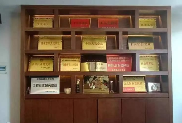 此次湯陰永新化學(xué)有限責(zé)任公司成功入選2023年河南省制造業(yè)單項(xiàng)冠軍企業(yè)名單，不僅體現(xiàn)了該公司在橡膠防焦劑CTP領(lǐng)域的卓越表現(xiàn)，也表彰了其在制造業(yè)中的重要地位和貢獻(xiàn)。