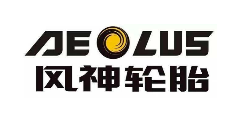 河南省制造業(yè)頭雁企業(yè)名單正式對外公布。在這份名單中，風神輪胎股份有限公司脫穎而出，成為唯一入選的輪胎企業(yè)。