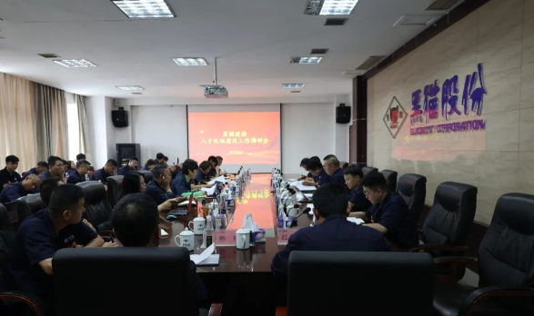 黑貓集團黨委書記、董事長汪羽一行于8月31日到黑貓股份調(diào)研指導(dǎo)人才隊伍建設(shè)工作。