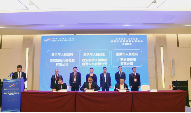 本次活動(dòng)的主題為“開放共享 合作共贏”，吸引了來自省內(nèi)外的數(shù)百位企業(yè)家共襄盛舉?；顒?dòng)中，代表們有機(jī)會(huì)展開充分的交流和深入的洽談，旨在達(dá)成更多合作共識(shí)，促進(jìn)全方位的合作，推動(dòng)云南天然橡膠的高質(zhì)量發(fā)展。會(huì)上舉行了項(xiàng)目簽約儀式，共有6個(gè)項(xiàng)目成功簽約，總投資額達(dá)到30億元。與會(huì)的各個(gè)州市代表在現(xiàn)場(chǎng)對(duì)這些項(xiàng)目進(jìn)行了詳細(xì)介紹，并進(jìn)行了項(xiàng)目交流。