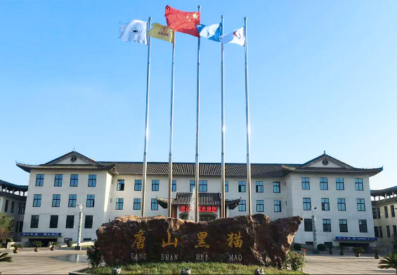 這一榮譽(yù)的獲得標(biāo)志著唐山黑貓綠色制造的新進(jìn)展和突破，對(duì)于在“綠色、節(jié)能、環(huán)?！鳖I(lǐng)域引領(lǐng)行業(yè)發(fā)展具有重要意義。未來(lái)，唐山黑貓表示將繼續(xù)堅(jiān)持低碳環(huán)保的綠色發(fā)展道路，積極推動(dòng)綠色環(huán)保措施的全面普及，構(gòu)建新的企業(yè)發(fā)展格局，為社會(huì)經(jīng)濟(jì)的健康發(fā)展貢獻(xiàn)更多力量。這一成就不僅對(duì)唐山黑貓公司本身而言，也為全行業(yè)樹(shù)立了榜樣，鼓勵(lì)更多企業(yè)走向綠色、可持續(xù)的發(fā)展之路。