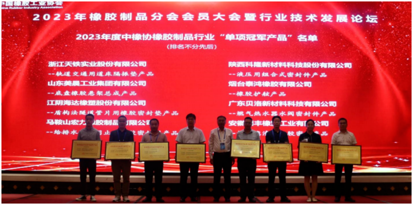 在行業(yè)技術發(fā)展論壇上，15位嘉賓在橡膠密封、軌道交通、產(chǎn)品檢測、原材料等領域為與會代表做了精彩的報告。