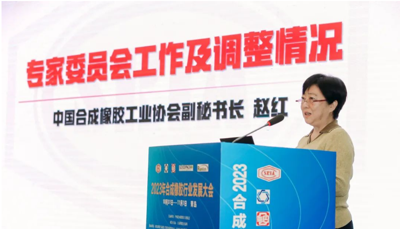 中國(guó)合成橡膠工業(yè)協(xié)會(huì)秘書(shū)長(zhǎng)趙紅詳細(xì)介紹了專(zhuān)家委員會(huì)的工作情況和新一屆專(zhuān)家委員會(huì)的組成。會(huì)長(zhǎng)梁愛(ài)民為專(zhuān)家委員會(huì)主任委員張立群院士頒發(fā)了聘書(shū)，標(biāo)志著專(zhuān)家委員會(huì)的正式成立。